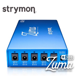 Strymon Zuma R300 / 스트라이몬 주마 초슬림 파워서플라이
